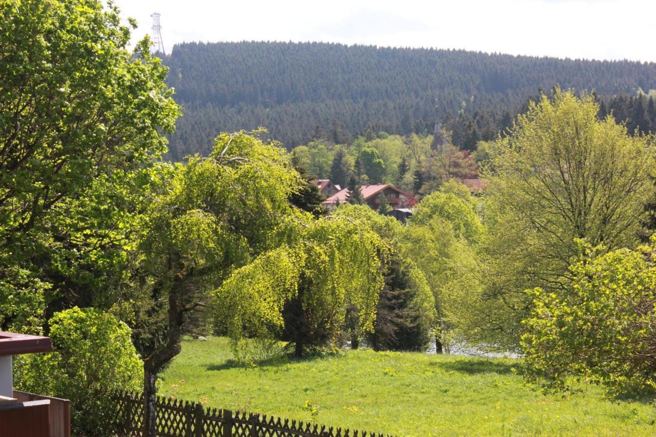 Schones Leben Schones Leben III Appartement Goslar Buitenkant foto